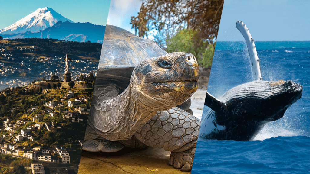 Ecuador Wonders