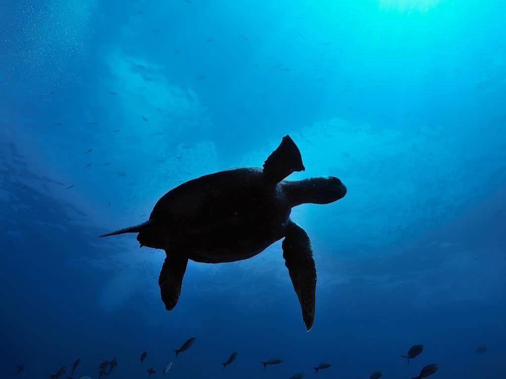 Ecuador Wonders