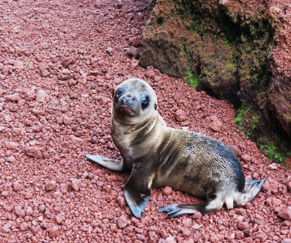 Ecuador Wonders