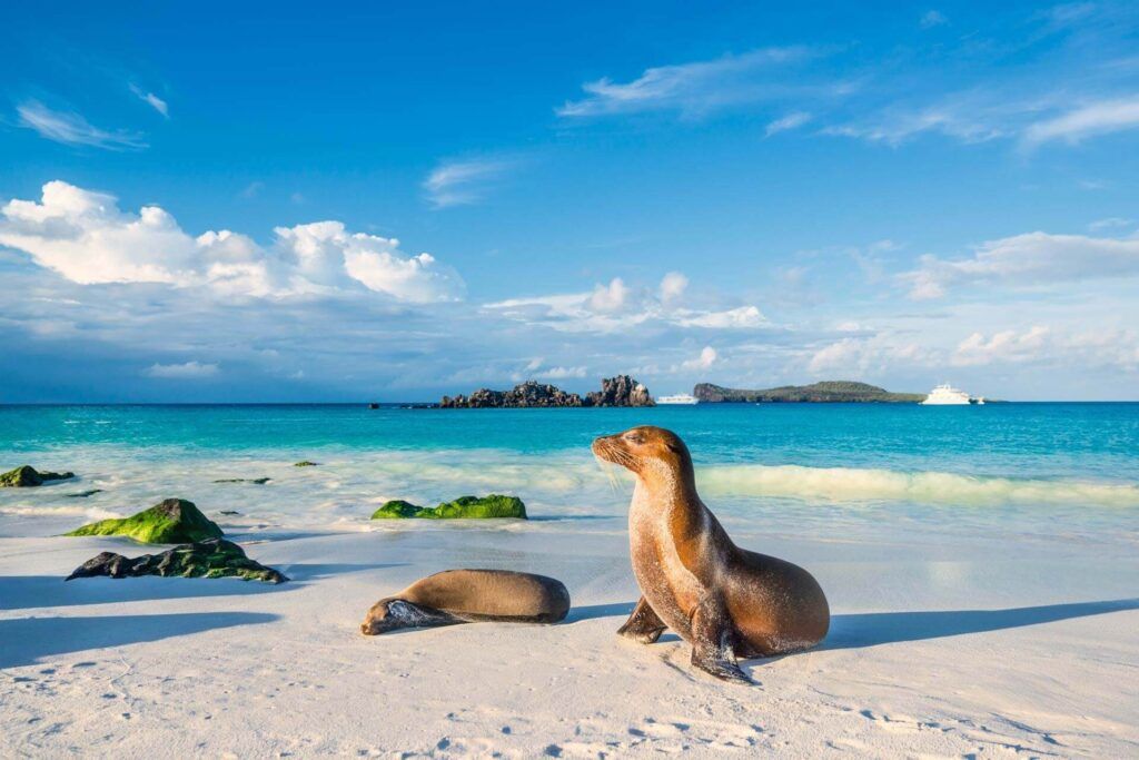 Ecuador Wonders