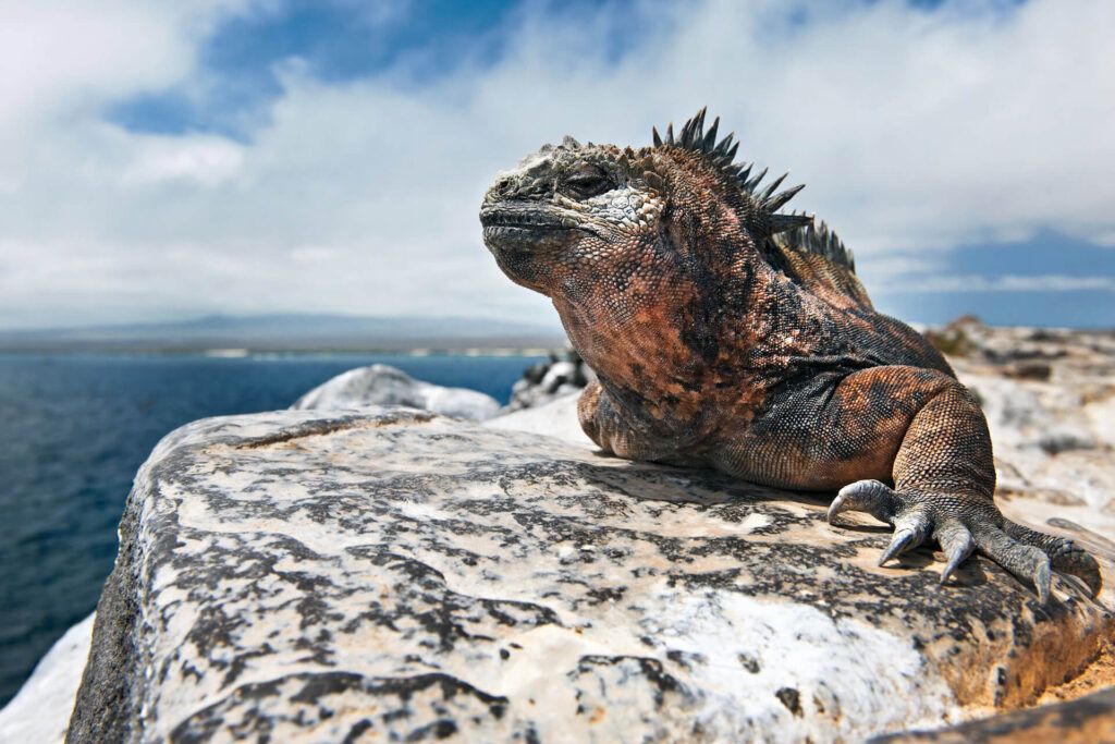 Ecuador Wonders