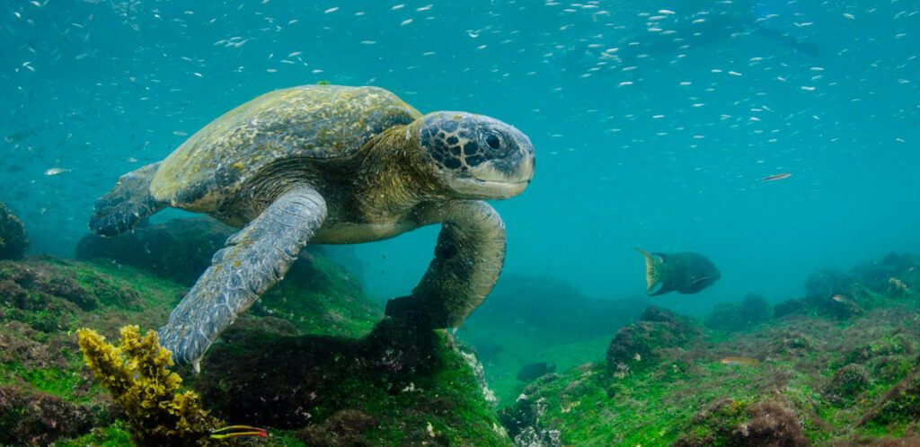 Ecuador Wonders