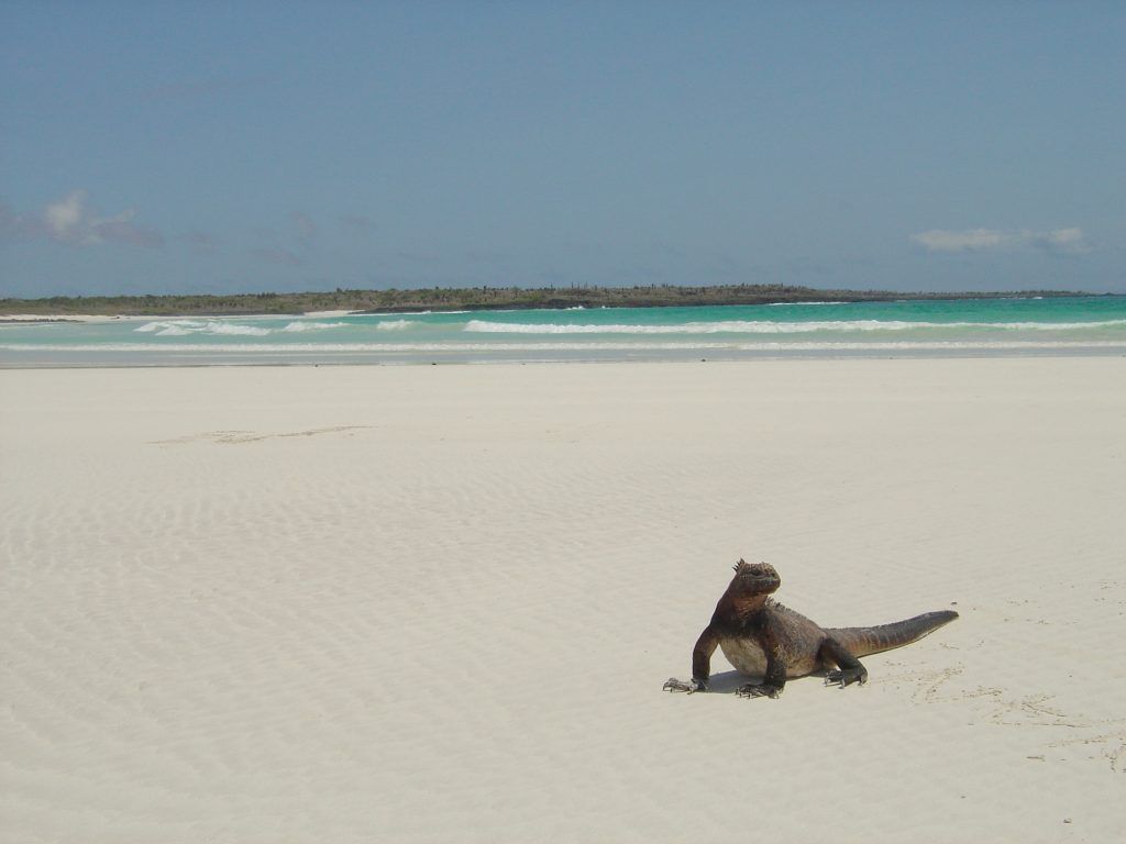 Ecuador Wonders