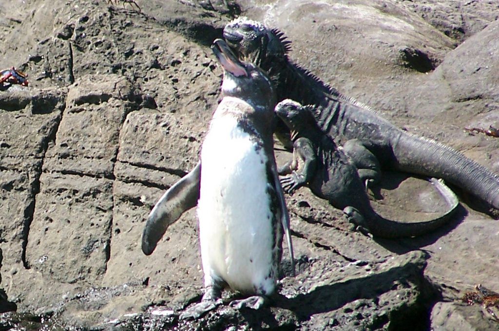 Ecuador Wonders