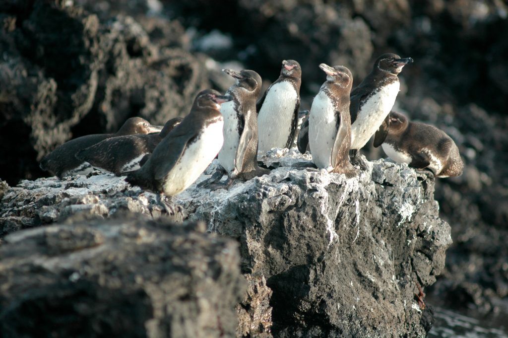 Ecuador Wonders