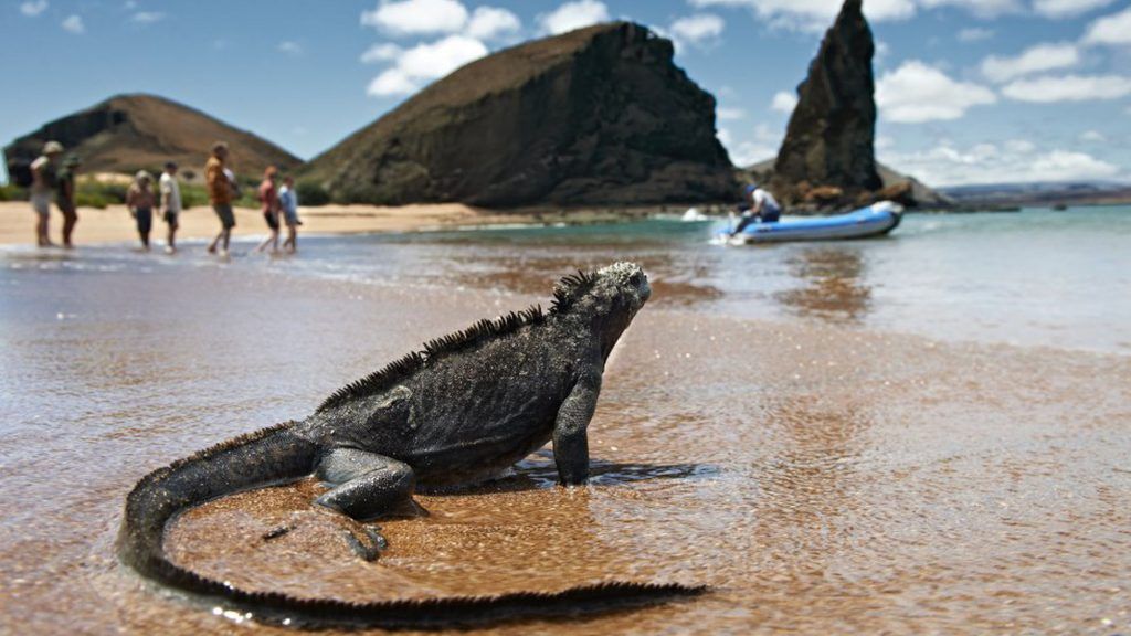 Ecuador Wonders
