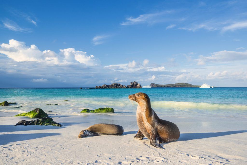 Ecuador Wonders