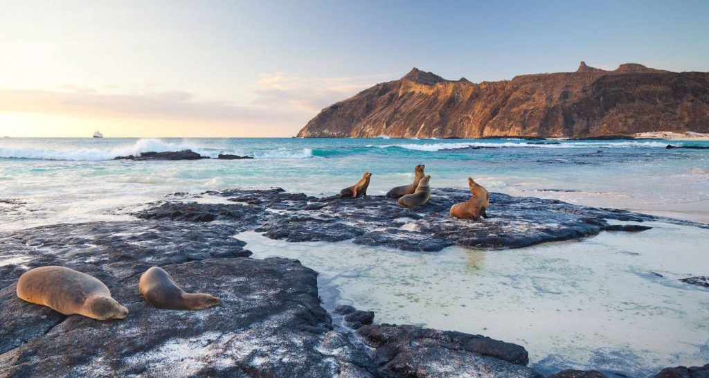Ecuador Wonders