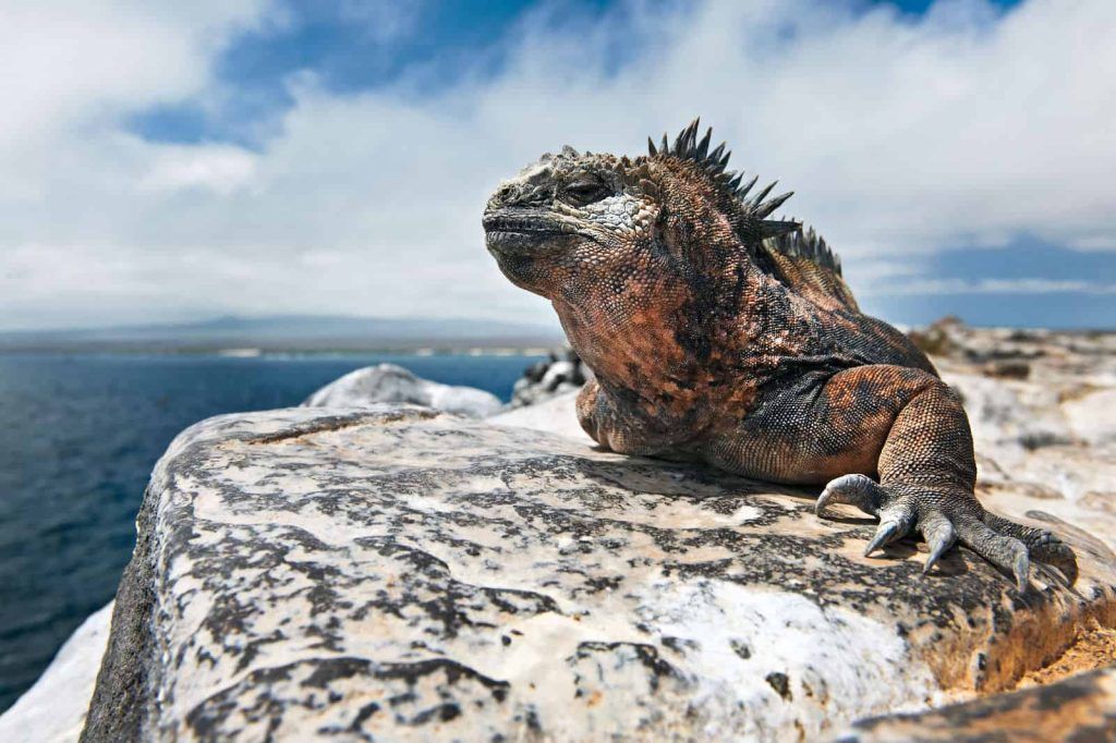 Ecuador Wonders