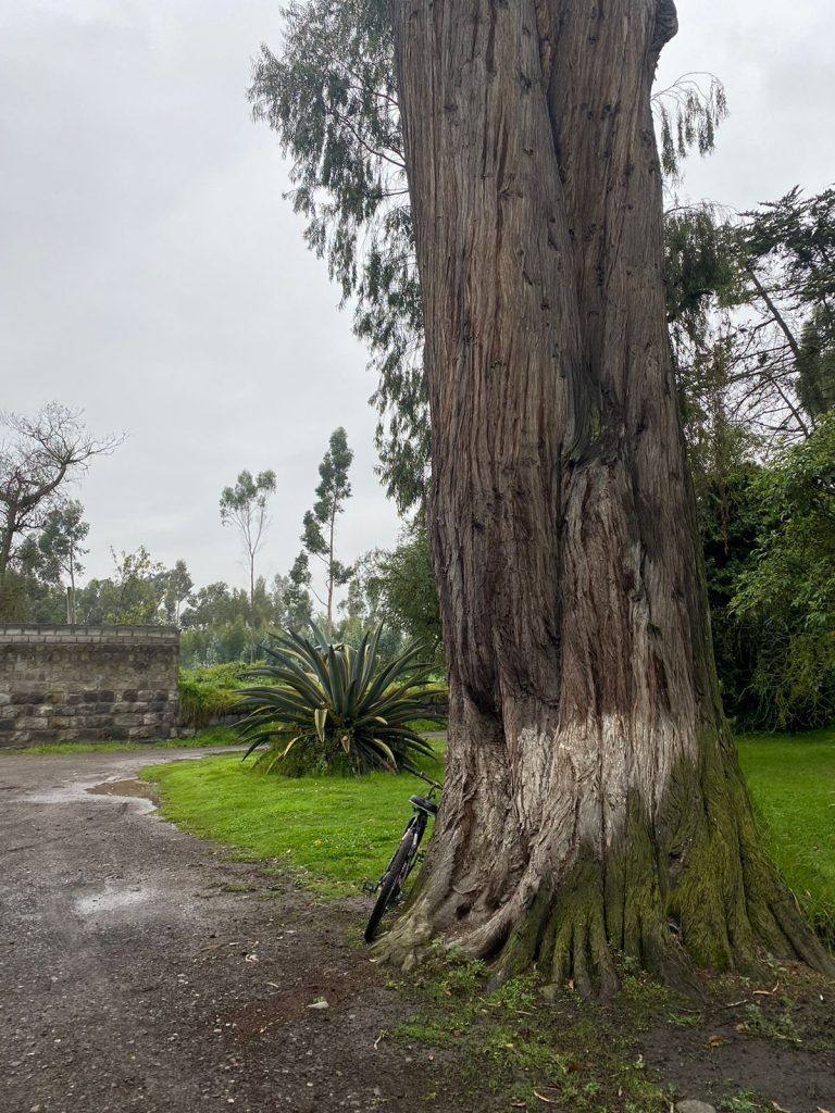 Ecuador Wonders