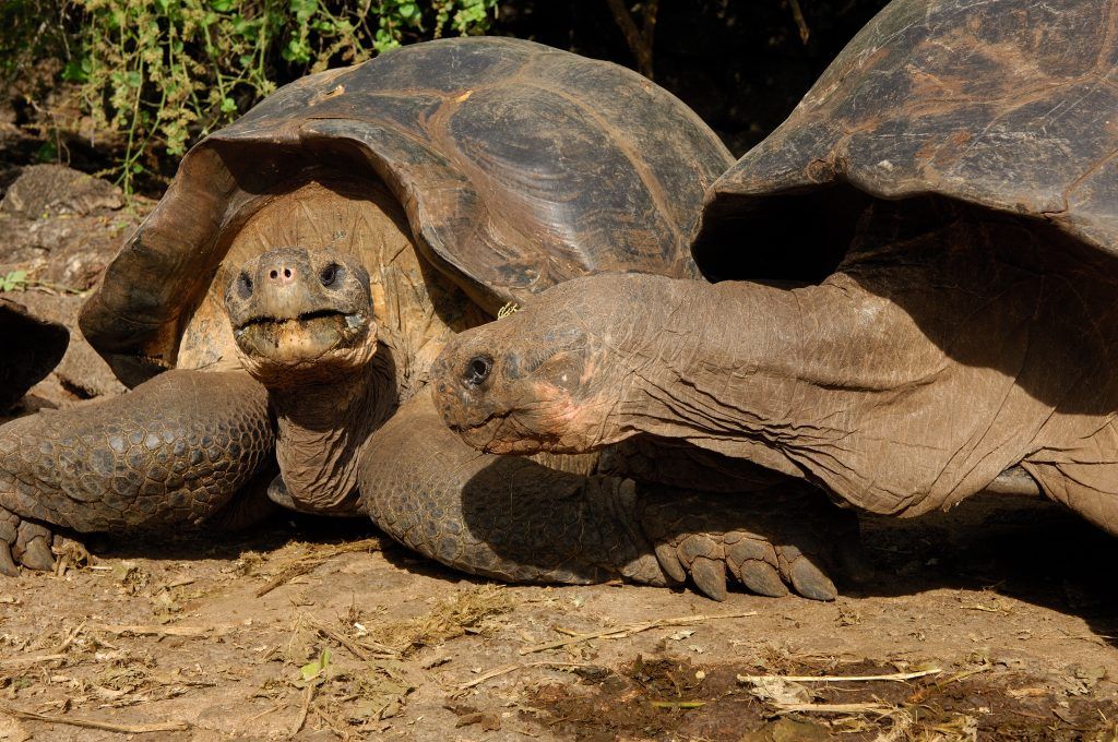 Ecuador Wonders